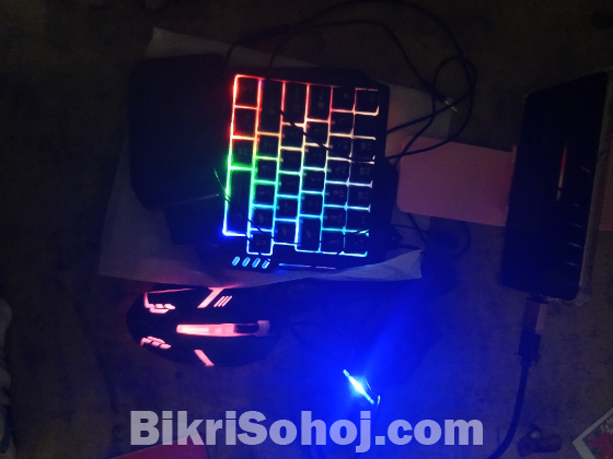 Mouse and keyboard combo